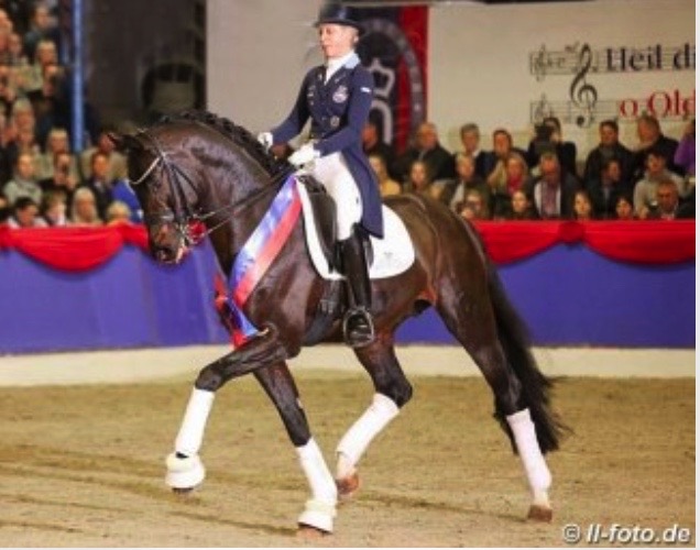 HW Farm proudly presents some information about Stallion For Romance